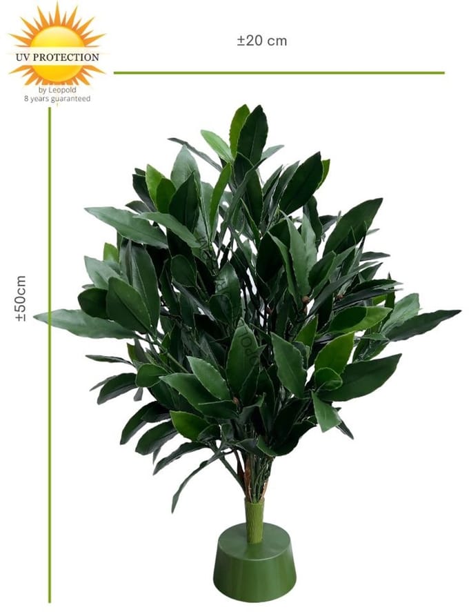Laurier kunstplant 50cm UV