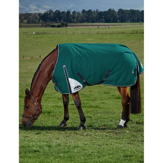 Outdoor paardendeken Weatherbeeta Comfitec Plus Dynamic 100g