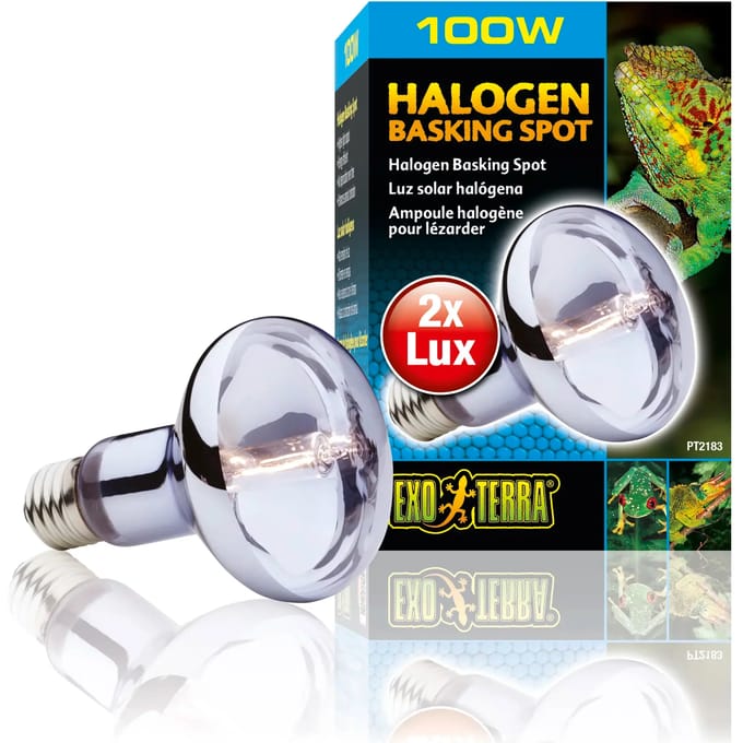 Halogeen terrariumlamp Exo Terra Sun Glo 50W