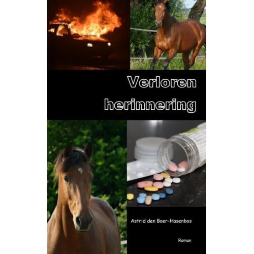 Verloren Herinnering - Astrid den Boer-Hasenbos
