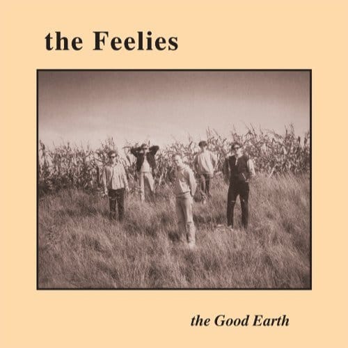 Good Earth - Feelies