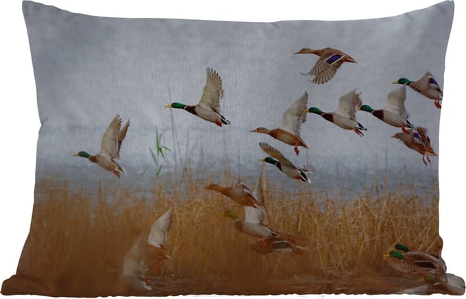 Buitenkussens - Tuin - Eend - Vogel - Riet - Water - Eenden - 50x30 cm