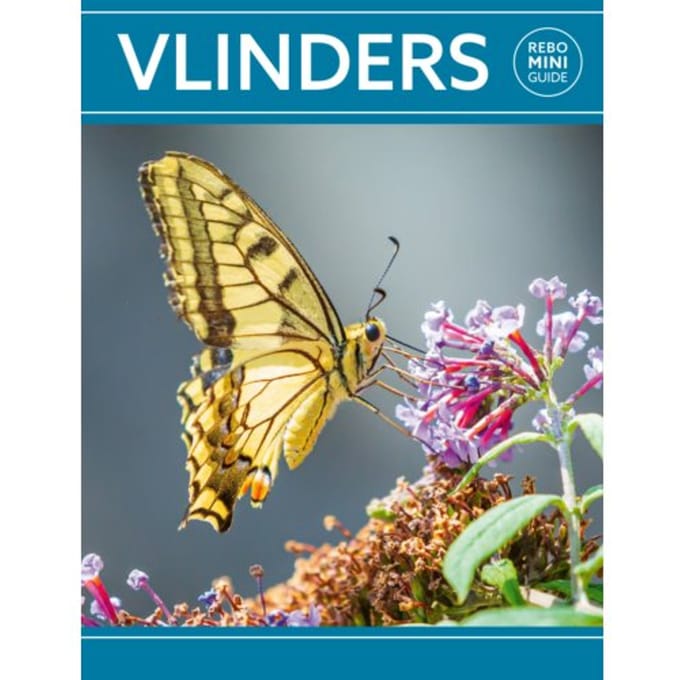 Rebo Mini Guide - Vlinders - Rebo Mini Guide - Marianne Taylor