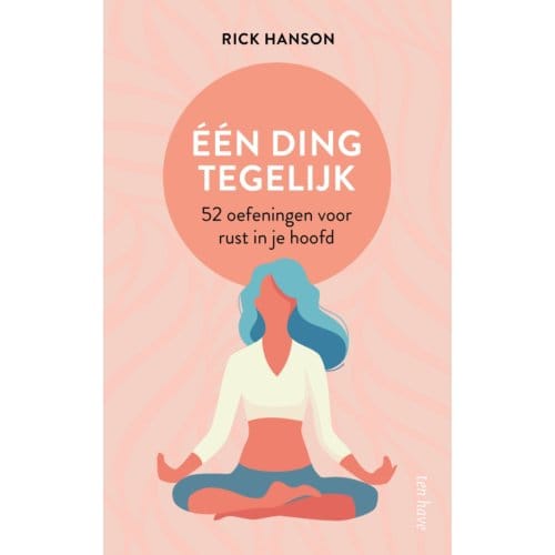 Eén Ding Tegelijk - Rick Hanson