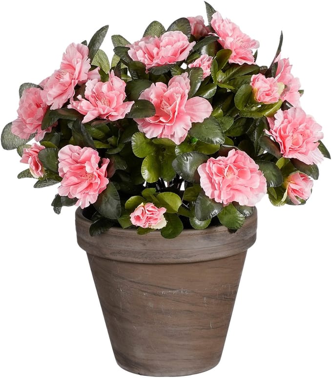 Mica Decorations Azalea Kunstplant in Bloempot Stan - H31 x Ø26 cm - Perzik