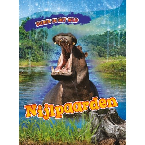 Nijlpaarden - Dieren In Het Wild - Rachel Koestler-Grack