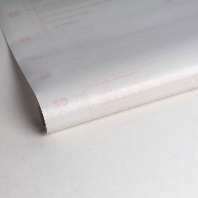 d-c-fix Rijstpapier Raamfolie - 45x150cm - Melkglas - Patroon - Statisch