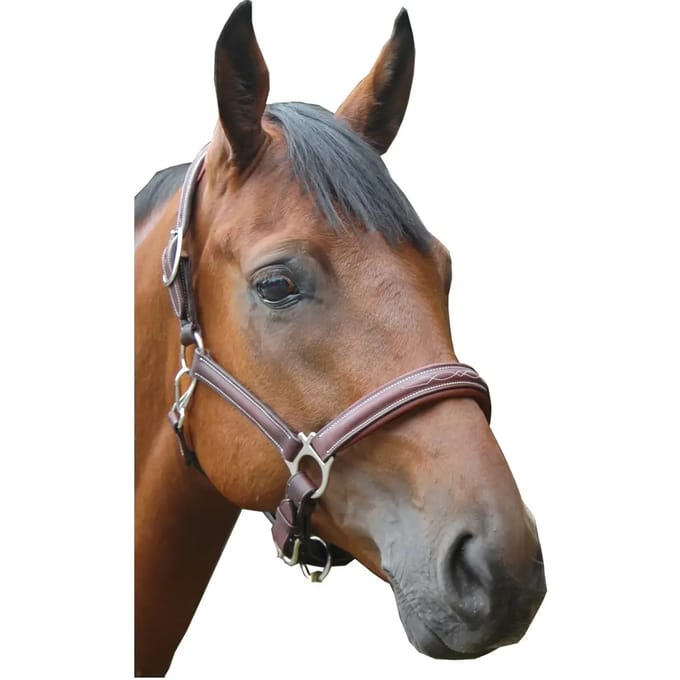 Polyethyleen paardenhalster Privilège Equitation Royan