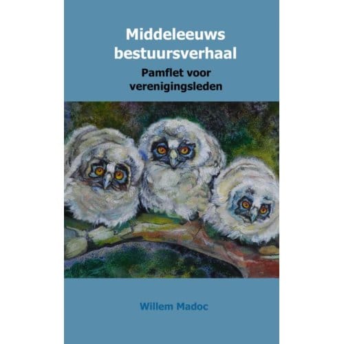Middeleeuws Bestuursverhaal - Willem niet van Madocke