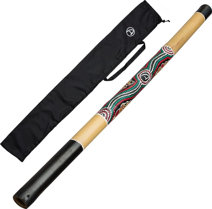 Didgeridoo voor Beginners 120cm – Met Tas en Handbeschildering
