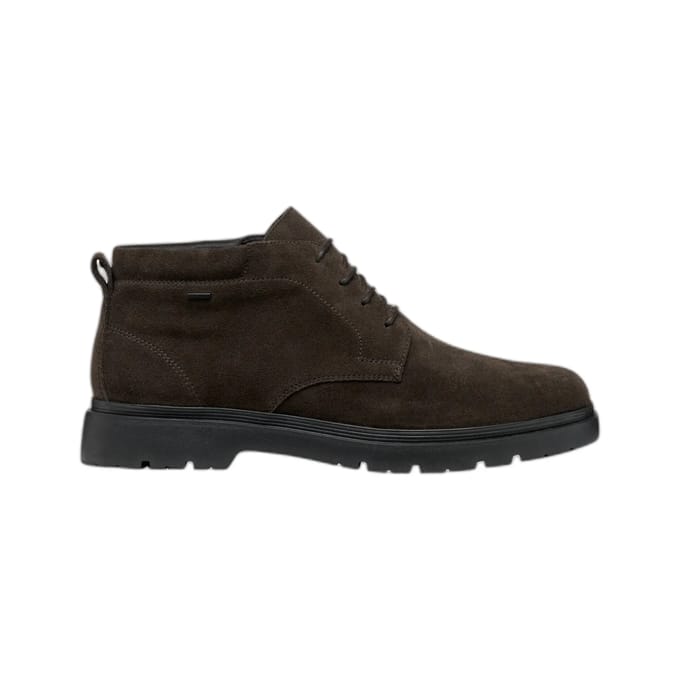 GEOX SPHERICA EC1 ABX HEREN - DONKERBRUIN - Maat 39