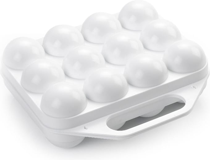 Plasticforte Eierdoos - koelkast organizer eierhouder - 12 eieren - wit - kunststof - 20 x 19 cm
