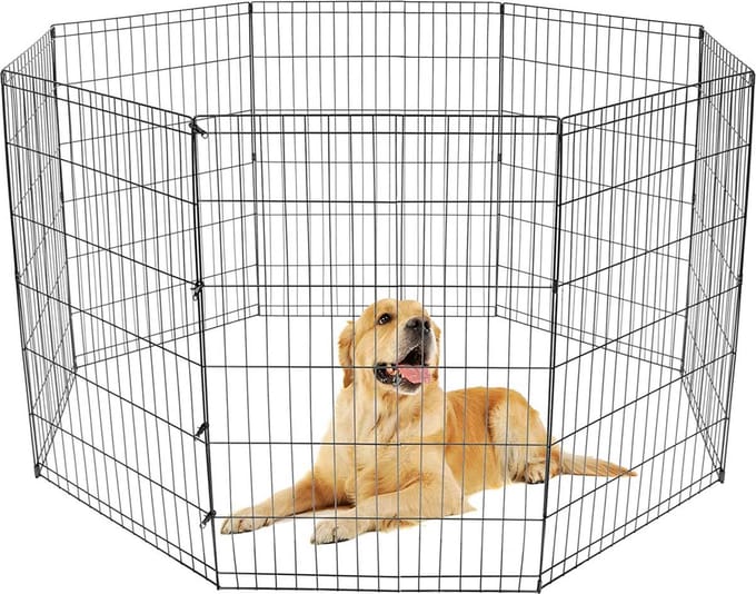 Trekker Puppyren M, 8-Paneel 61x76cm
