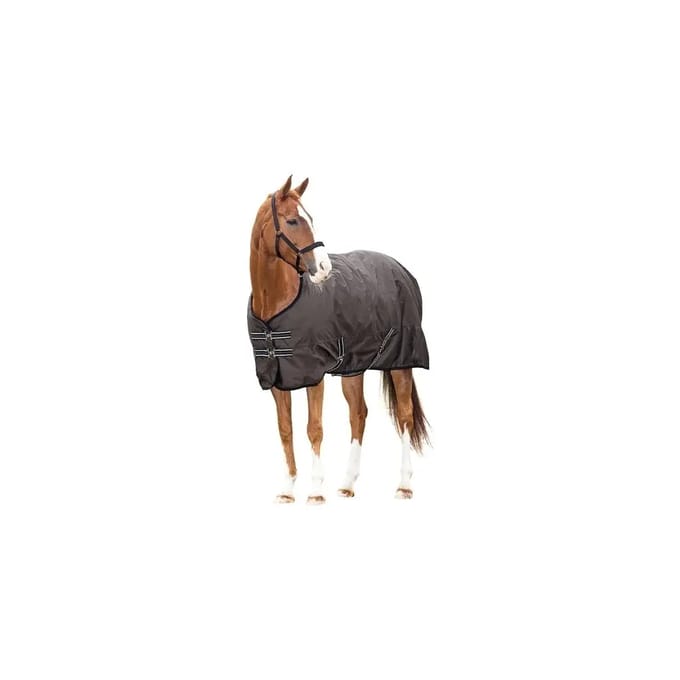 Outdoor paardendeken HorseGuard 600D 200 g