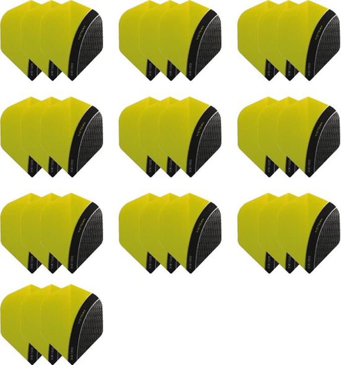 10 - Sets XS100 Curve 100 micron flights - Geel