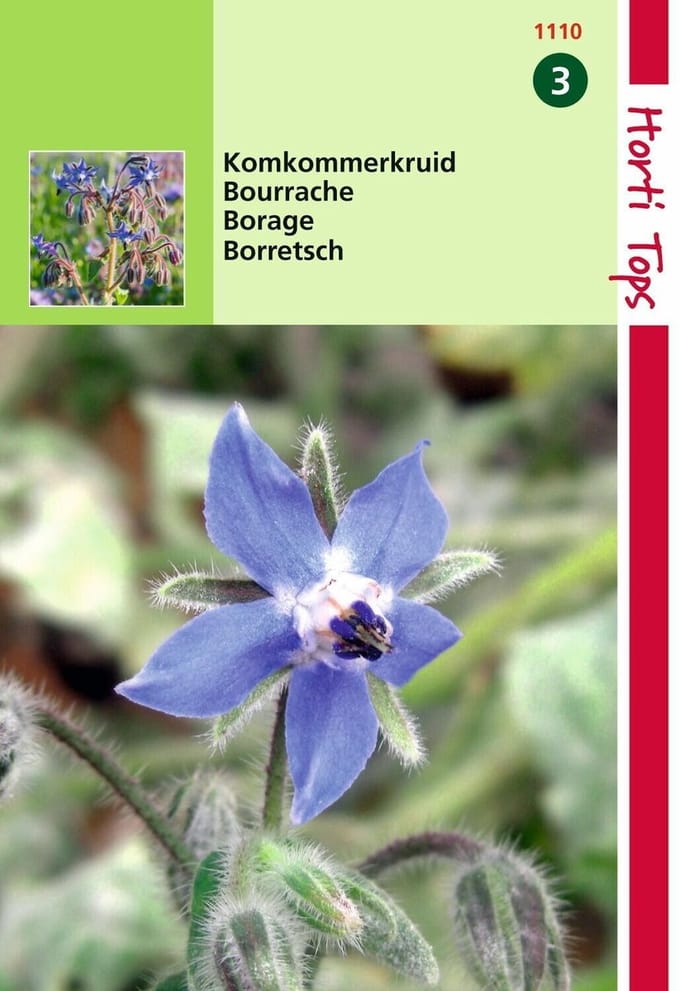 2 stuks Hortitops Komkommerkruid Borage