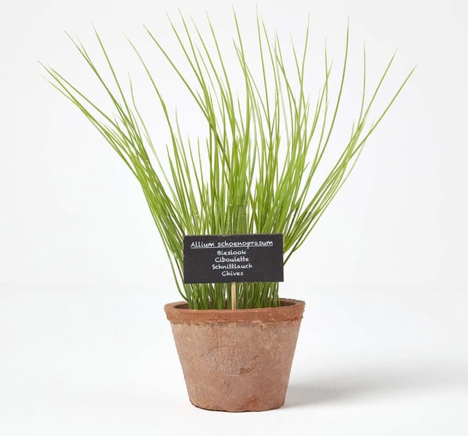 Homescapes Kunstmatige Bieslook Potplant