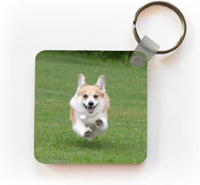 Sleutelhanger - Uitdeelcadeautjes - Rennende corgi - Plastic