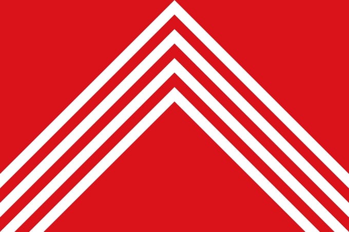 Vlag Brakel 100x150cm