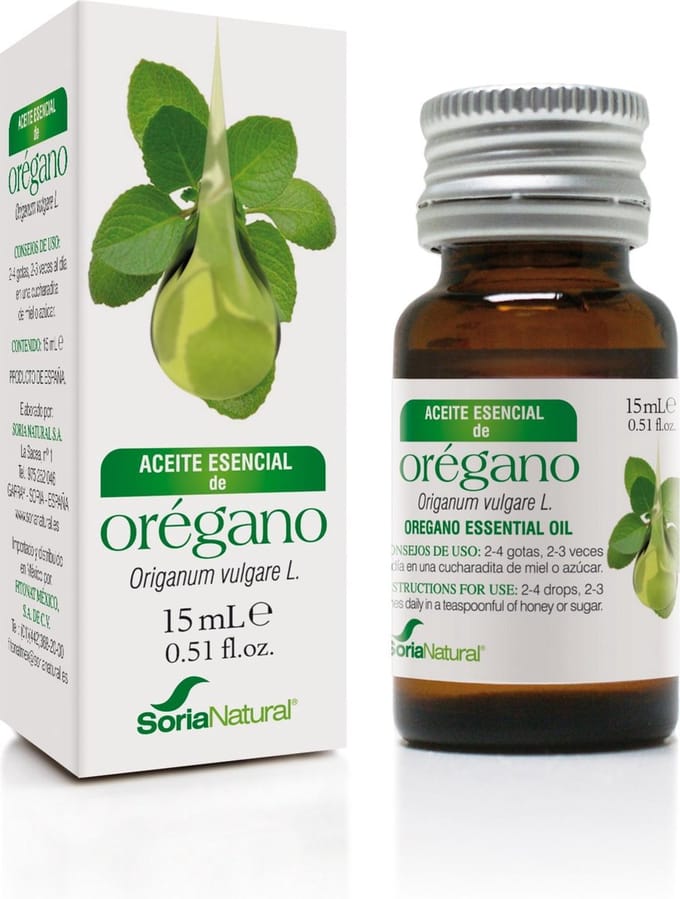 Origanum Majorana          Sor