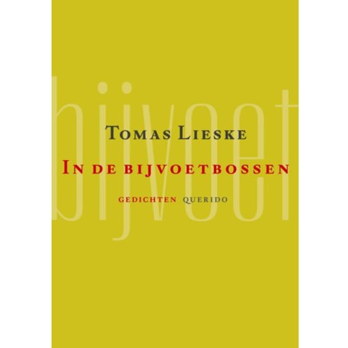 In De Bijvoetbossen - Tomas Lieske