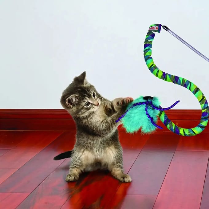 Kattenspeelgoed Kong Company Snake Teaser