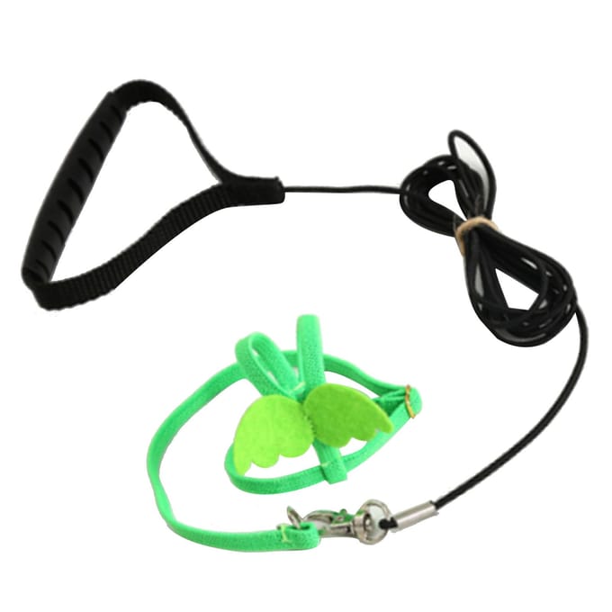 Harnais Laisse pour Oiseau de Compagnie Extensible Harnais de Vol pour Oiseau Corde de Traction pour Conures Perruche Calopsitte Mainate black