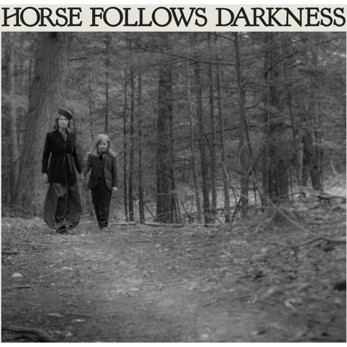 Vinyle LP DELIA GONZALEZ - Horse Follows Darkness DFA2522 DFA 2017 US Dance & Electronica