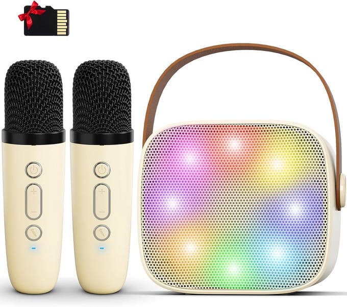 Draagbare Bluetooth Karaoke Luidspreker met Draadloze Microfoons voor Kinderen en Volwassenen