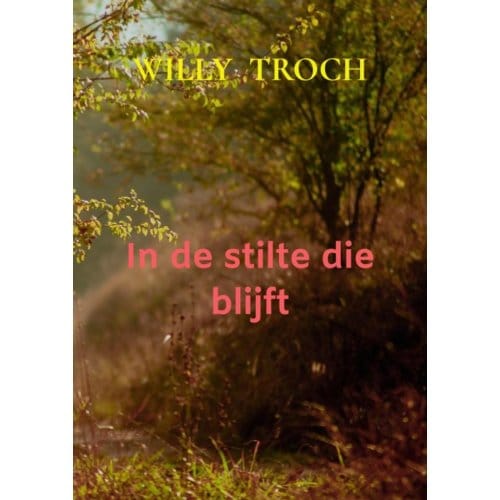 In De Stilte Die Blijft - Willy Troch