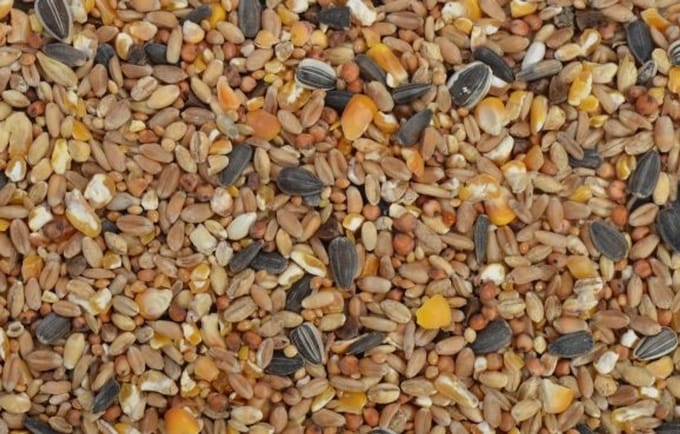 Tweetfeed Voordeel-Strooivoer 2,5KG
