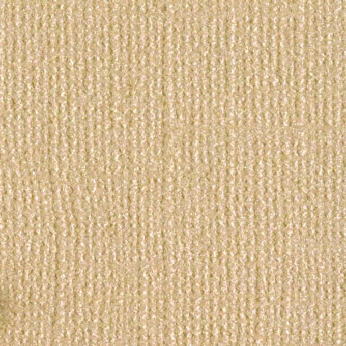 Bazzill Textuurpapier - Bling - 30.5x30.5cm - Blank Check - 25 vellen