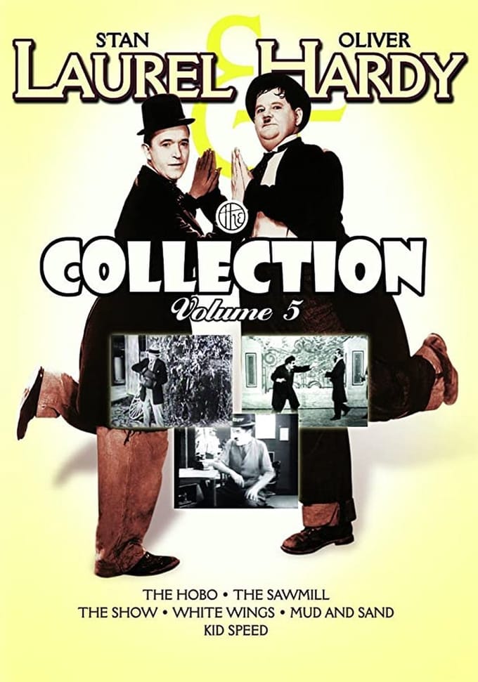 LAUREL & HARDY BOX 5 DVD