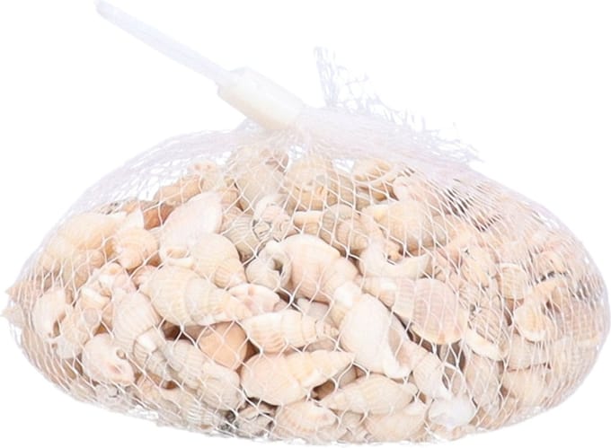 Rayher Schelpjes - posthoorn schelpen - decoratie - 150 gram - maritiem