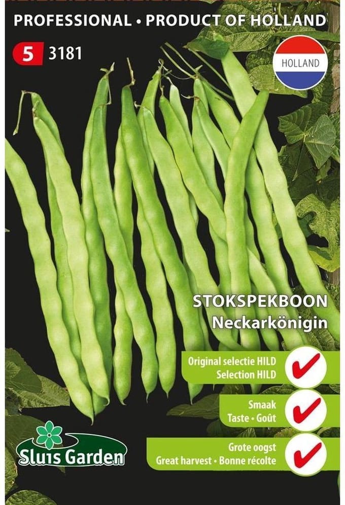 Sluis Garden - Stokspekboon Neckarkonigin (original selection)