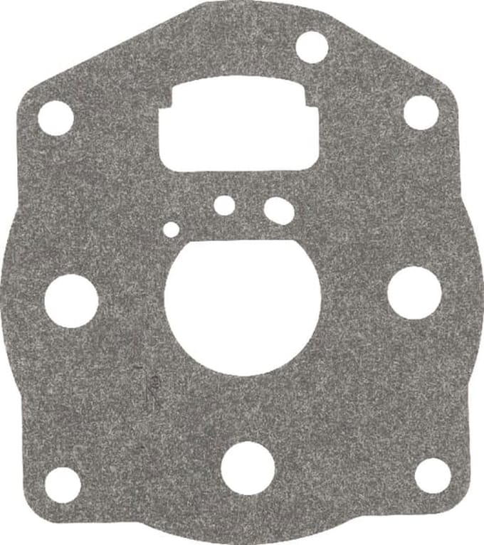 Briggs & stratton vlotterbakpakking