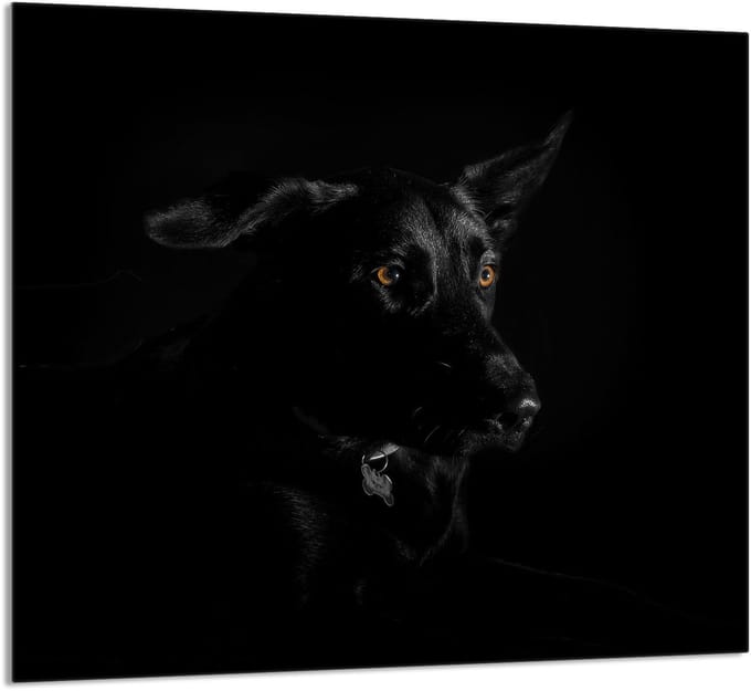 TMK ArtDeko - Snijplank - 65x60 cm - Hondenprint - Sfeervol - Multifunctioneel