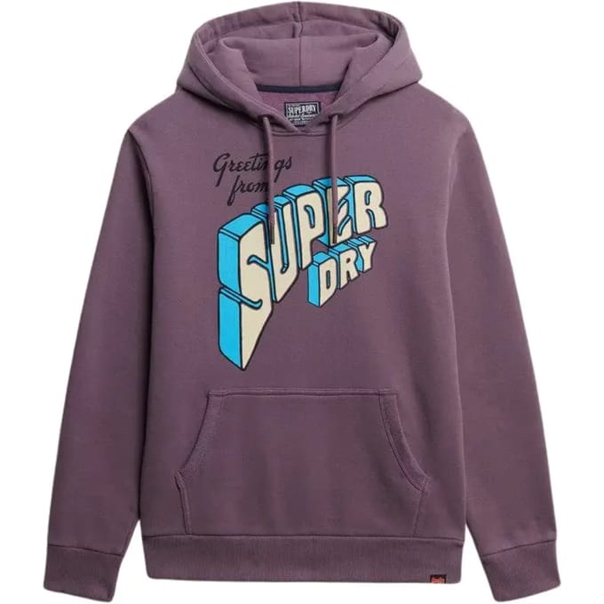 Capuchon sweaters Superdry North