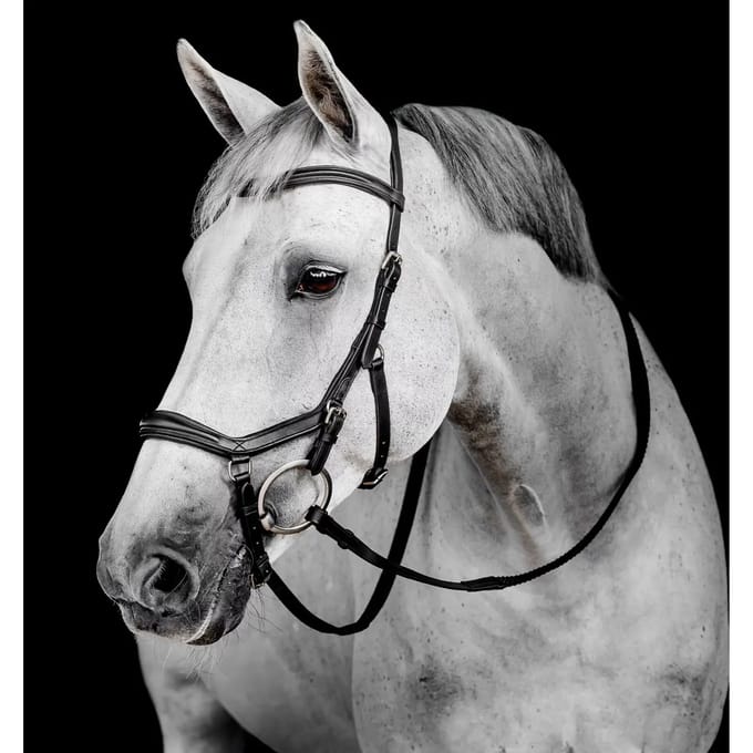 Hoofdstel Horseware Micklem Deluxe
