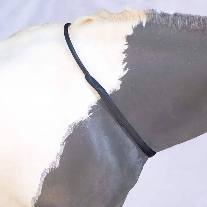 Halsband voor pony Bridlery Trust