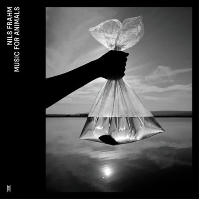 Nils Frahm - Music For Animals (4 LP) (Coloured Vinyl)