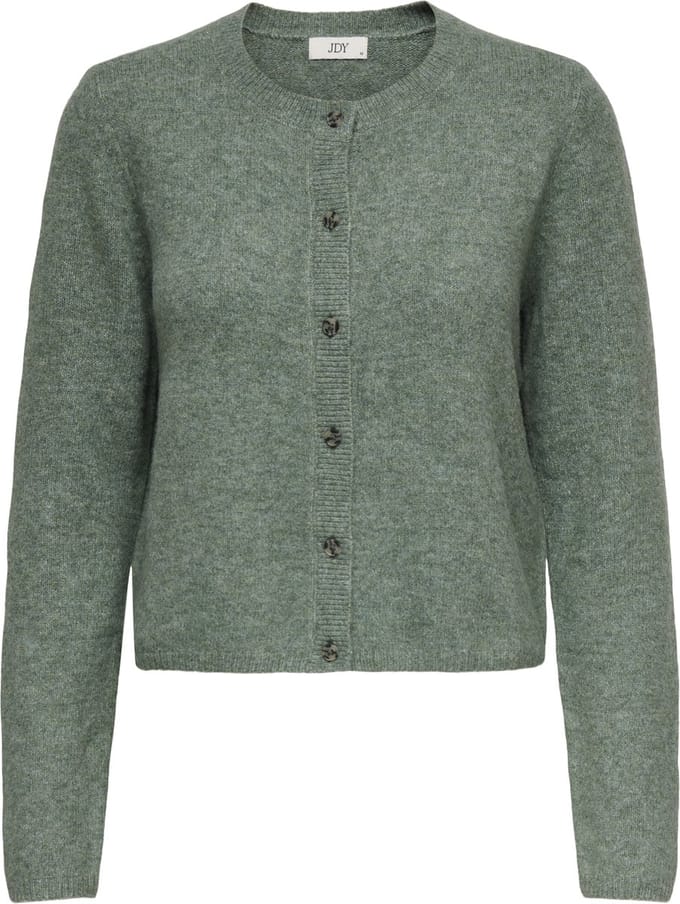 JDY - JDYCHLOE L/S CARDIGAN KNT NOOS - Dames - Cardigans