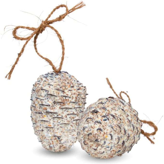 4 st. Lyra Pet® reuze kegels