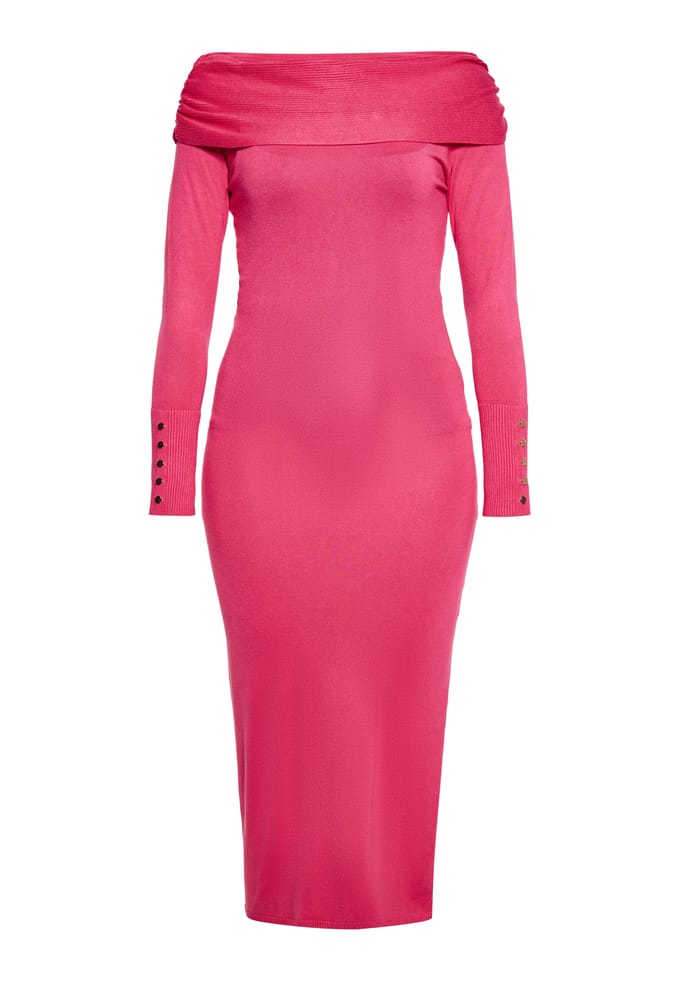 Faina Jurk Dames roze