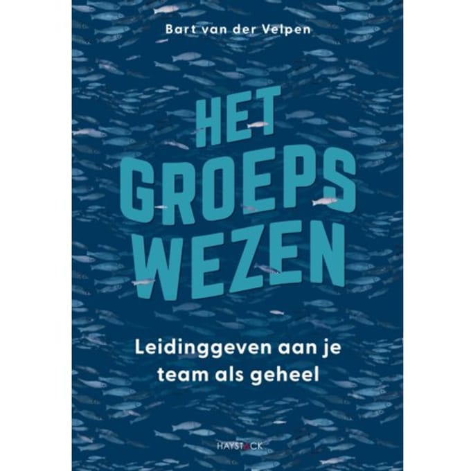Het Groepswezen - Bart van der Velpen