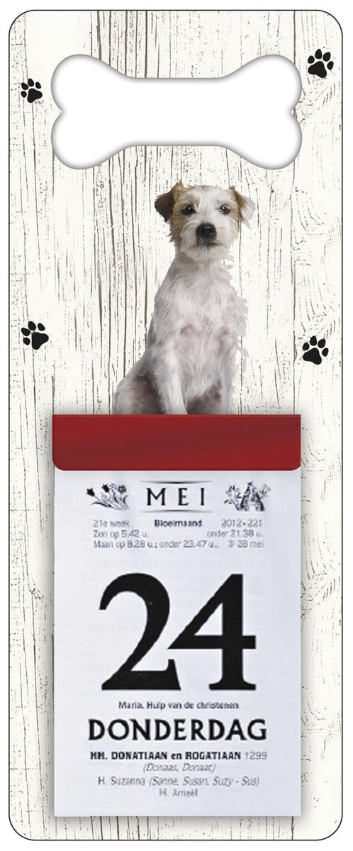 Scheurkalender 2027 Hond: Jack Russel Ruwharig