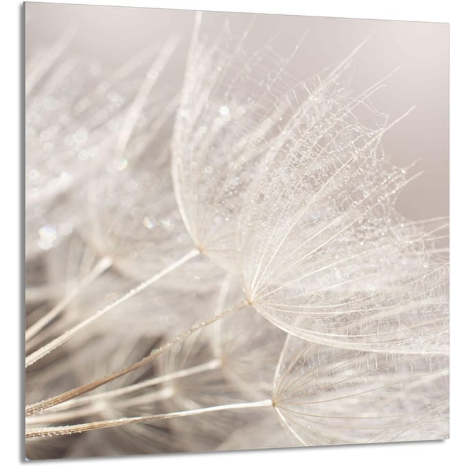 TMK ArtDeko - Serie - Glass Paneel - Keuken Decor - 60x65 cm