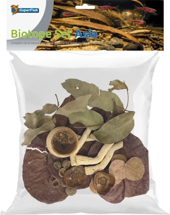 Biotope Set Asia