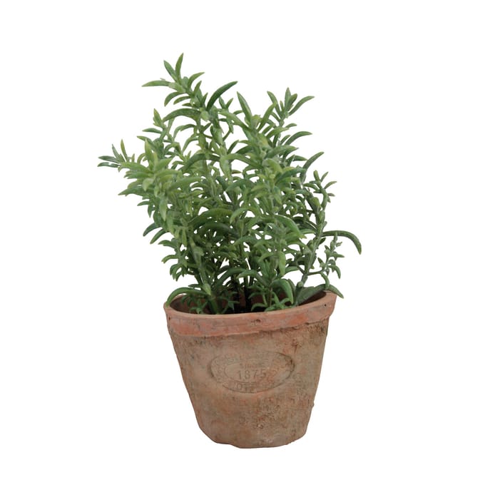 Esschert Design - Kunstplant Tijm in terracotta pot AH001