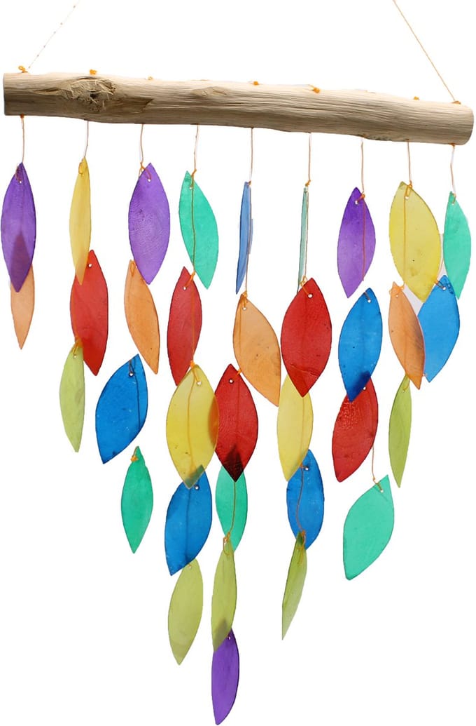 Regenboogblad Copis Chime